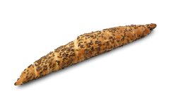 Stangel cibula cele